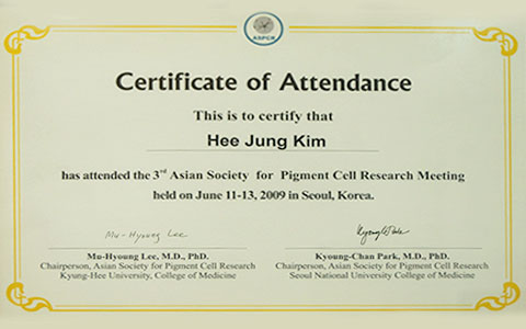 certificate of attendance
